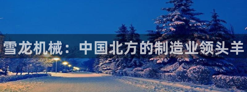 云顶国际俱乐部怎么样
