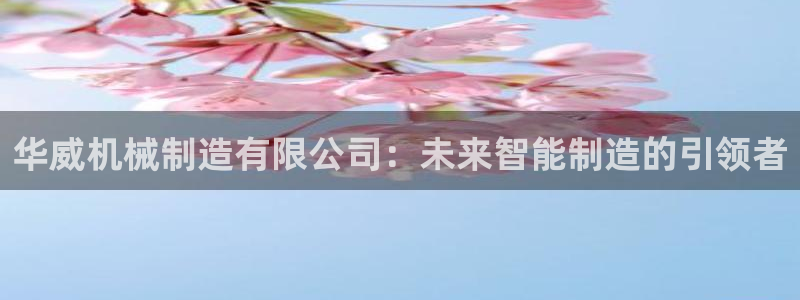 云顶国际服有中文吗