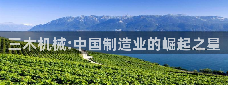 云顶国际是什么软件