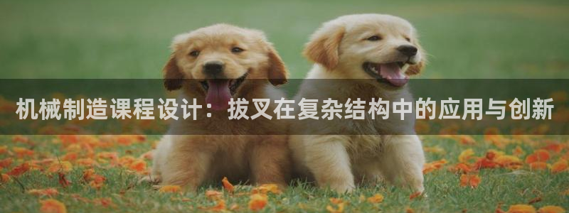 云顶国际服如何调中文