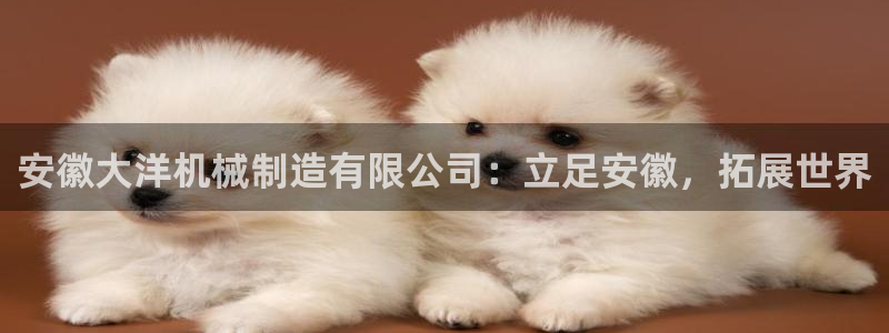 40081122云顶