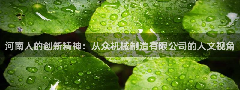 云顶国际软装公司怎么样