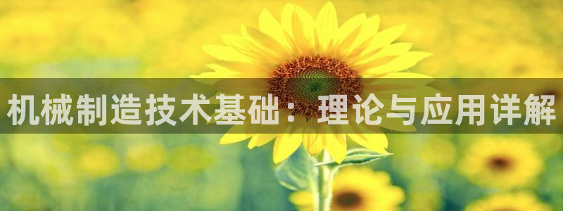 云顶国际创始人是谁