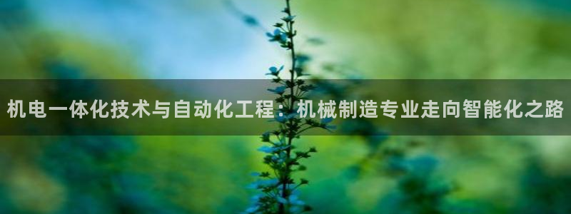 云顶国际平台送彩金58