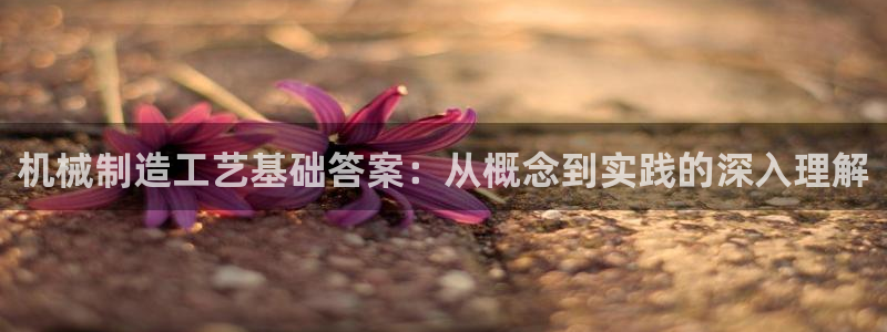中国云顶集团