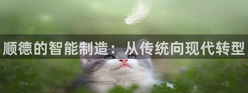 成山路800号(云顶国际商业广场a座101)电话