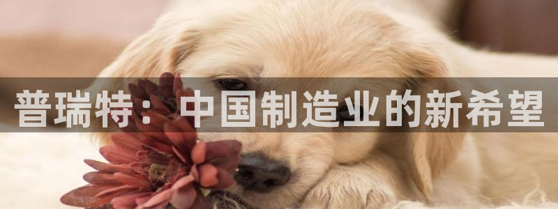 云顶国际商业广场a座101楼