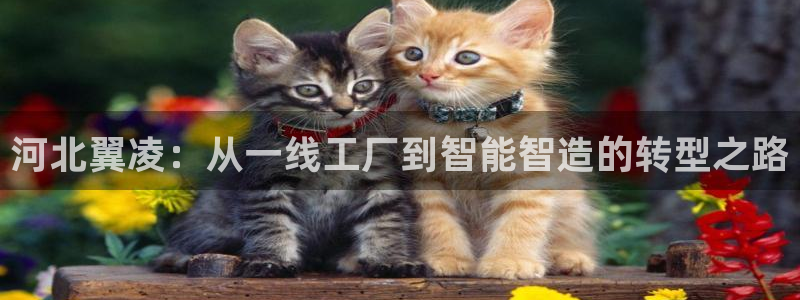 云顶国际宴会中心通达店
