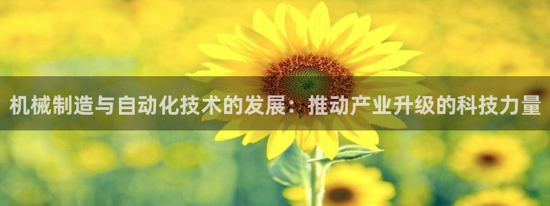 云顶国际版手游