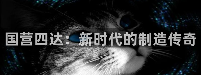 云顶国际二手房价格走势