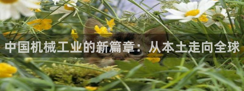 云顶国际游戏平台官网