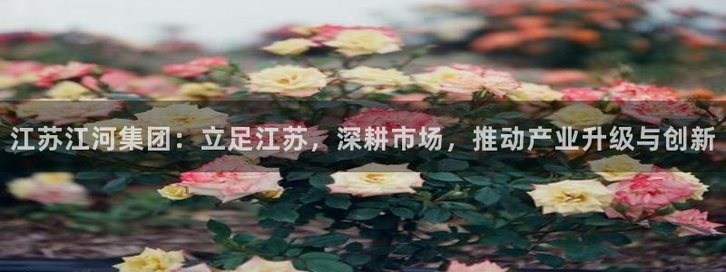 云顶国际是个什么网站