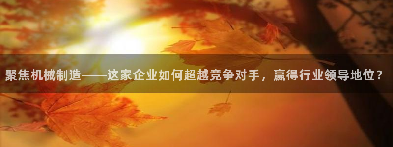 云顶国际集团io