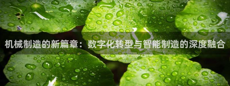 云顶国际官方网页