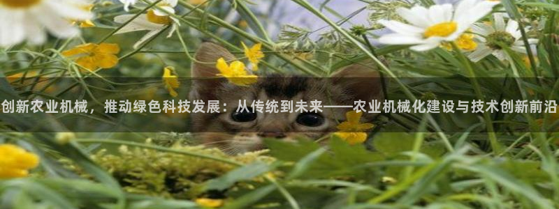 云顶国际ktv会所