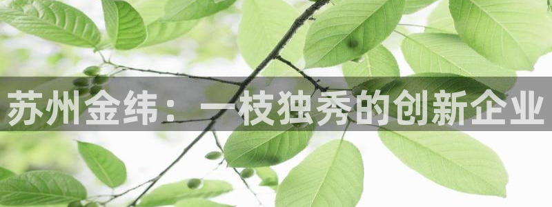 云顶国际俱乐部官网