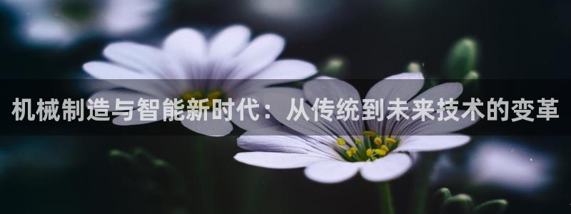 云顶集团网站是多少