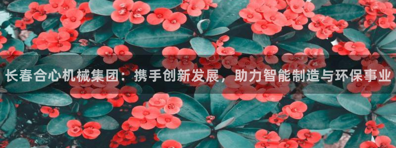 云顶国际测试服免费吗