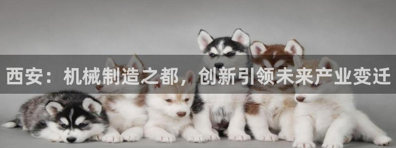 云顶国际KTV