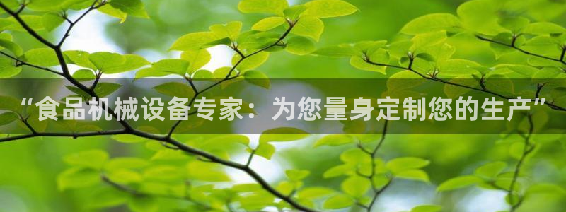 云顶集团GM