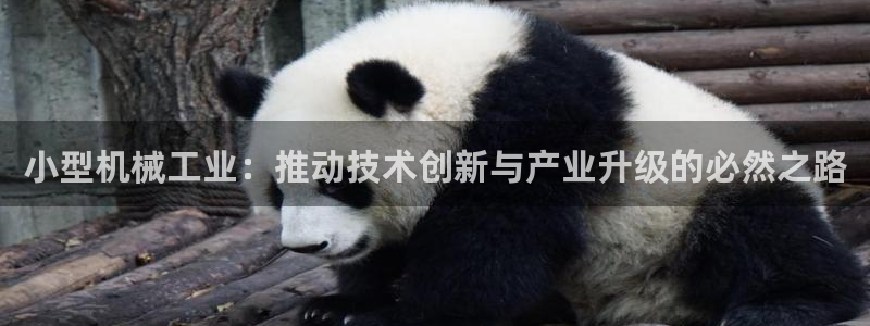 云顶国际服手游