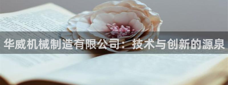 云顶集团高管