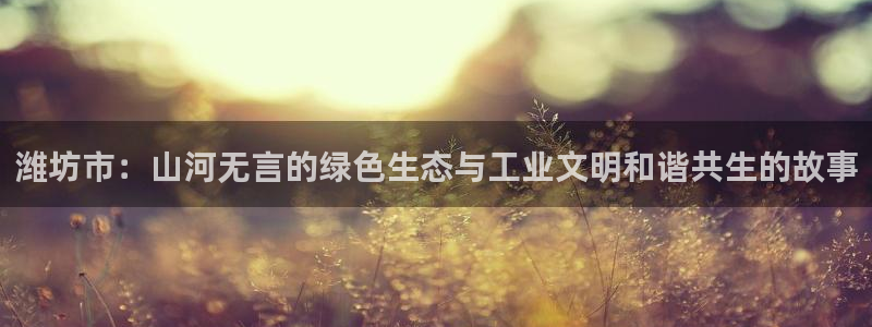 云顶国际物流官网网址