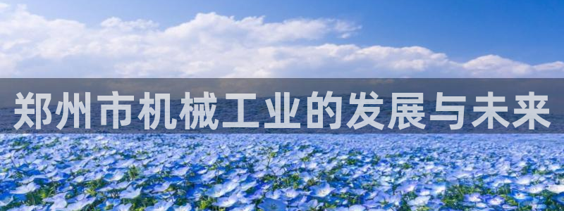 云顶国际公馆户型图