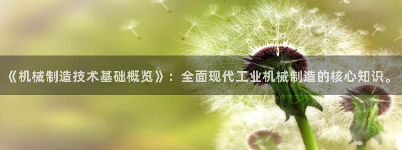中国云顶集团