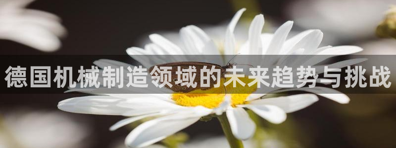 云顶官网唯一官方网站