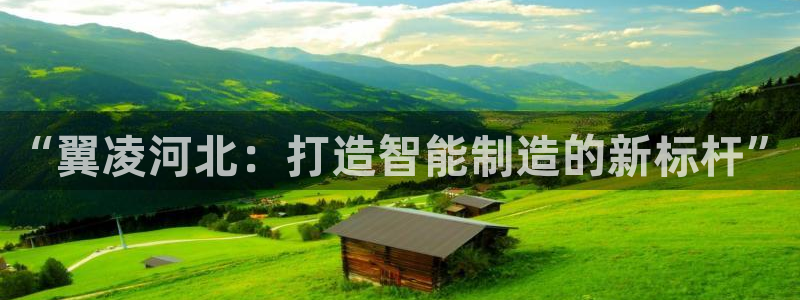 云顶国际物流官网