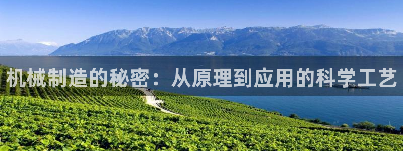 云顶国际app是什么