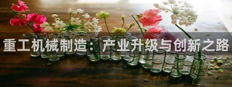 云顶线路检测 官方网站