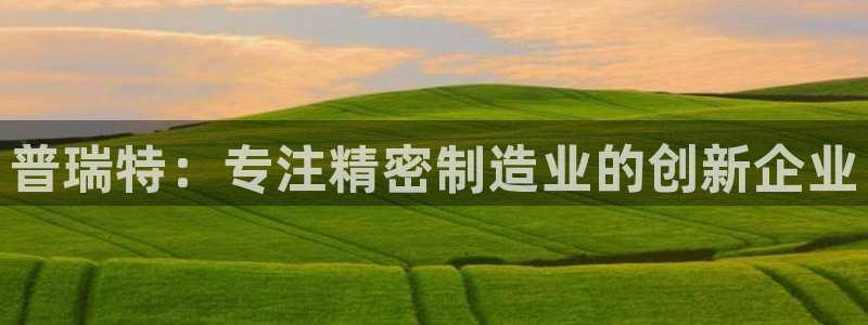 云顶国际服s10什么时候更新