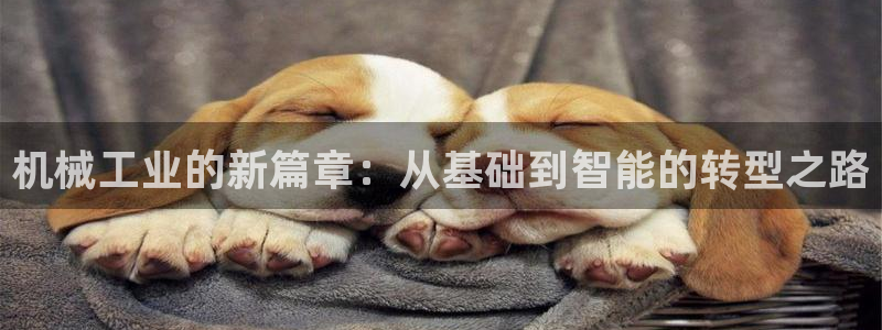云顶集团网站多少钱一个