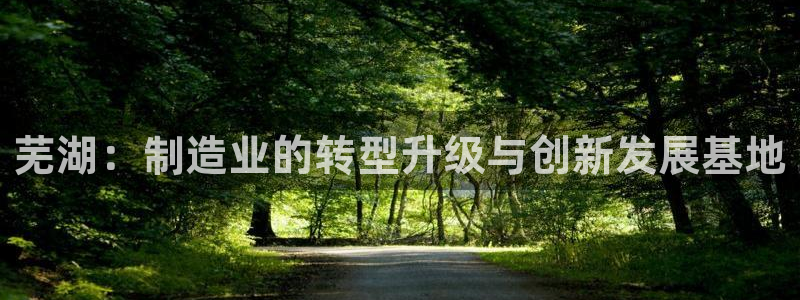 云顶oce