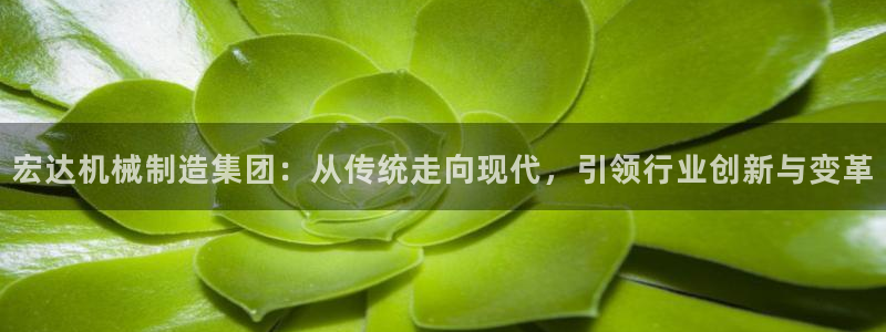 云顶国际服名字