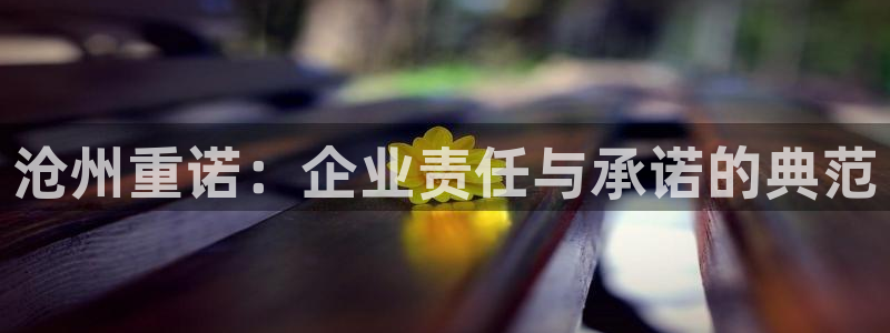 云顶国际KTV商务会所(新华街南段店)简介