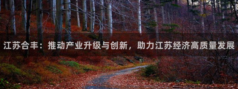 云顶国际物流