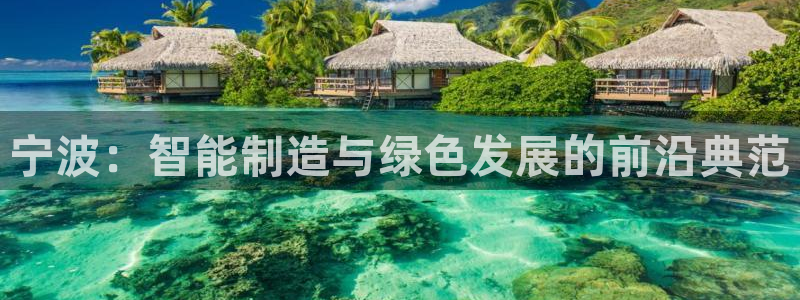 云顶集团网站多少