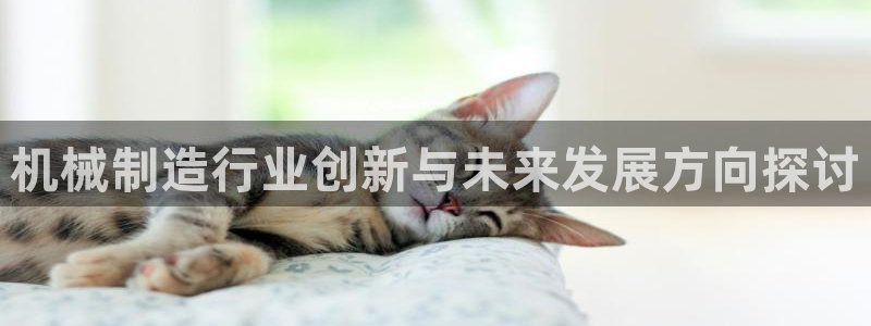 云顶国际服什么时候更新