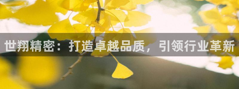 云顶集团3118acm官网