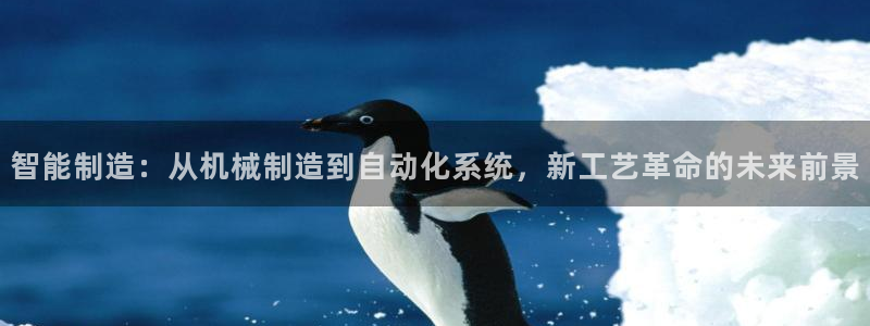 太原云顶国际老板