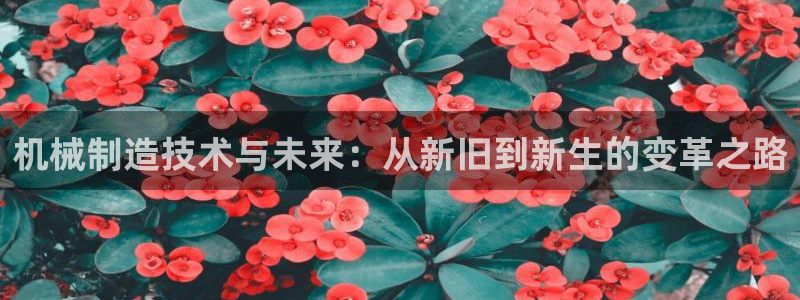 云顶t00