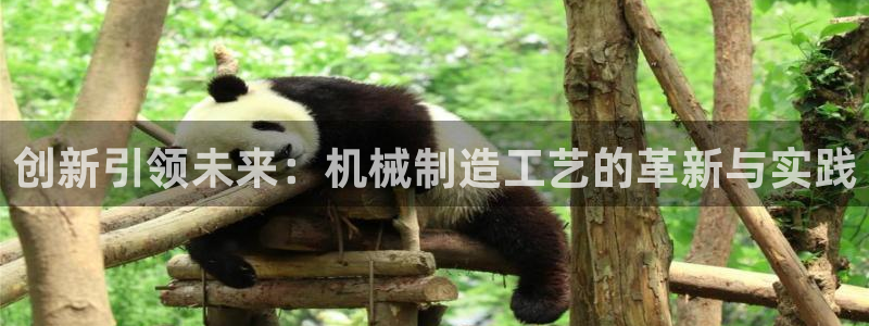 云顶国际晟荣协会
