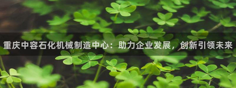 云顶集团公司简介图片