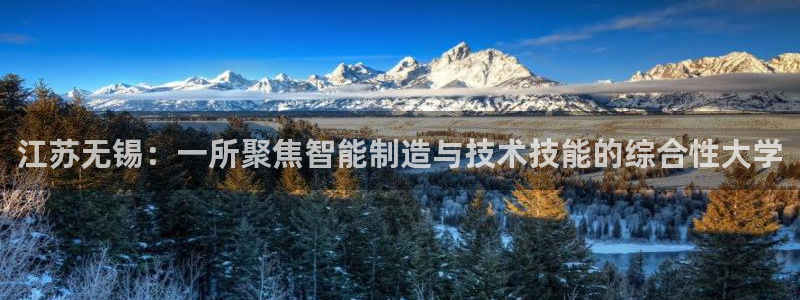 云顶国际服s11