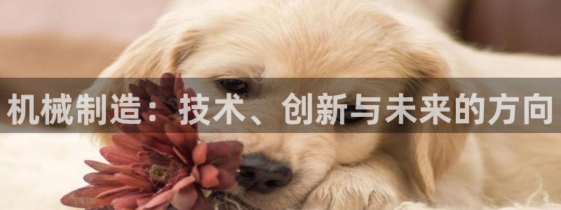 云顶国际测试服怎么进