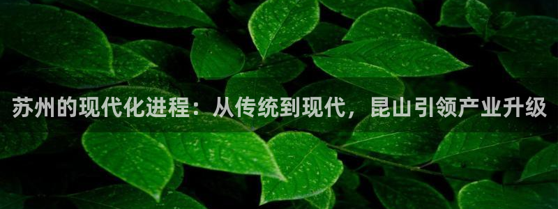 云顶集团网站安全吗