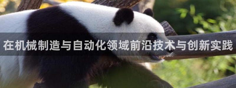 云顶国际公馆怎么样